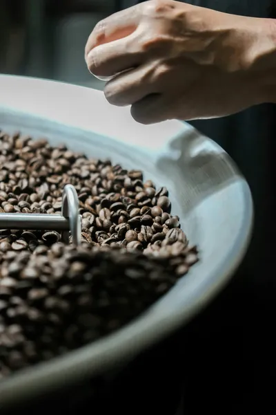 A coffee business owner thoughtfully considering different Kraffe roaster models