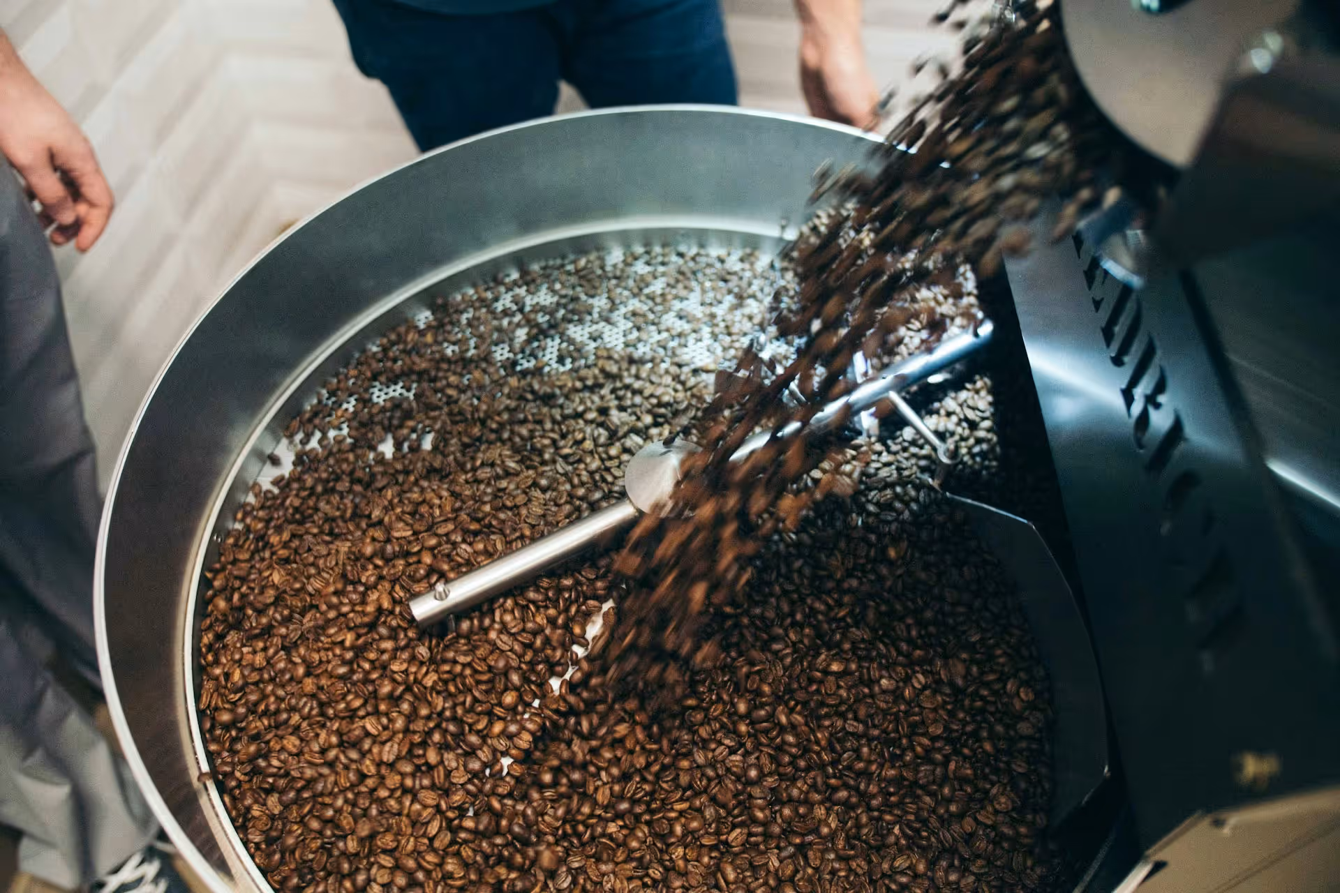 Various coffee beans at different roasting stages