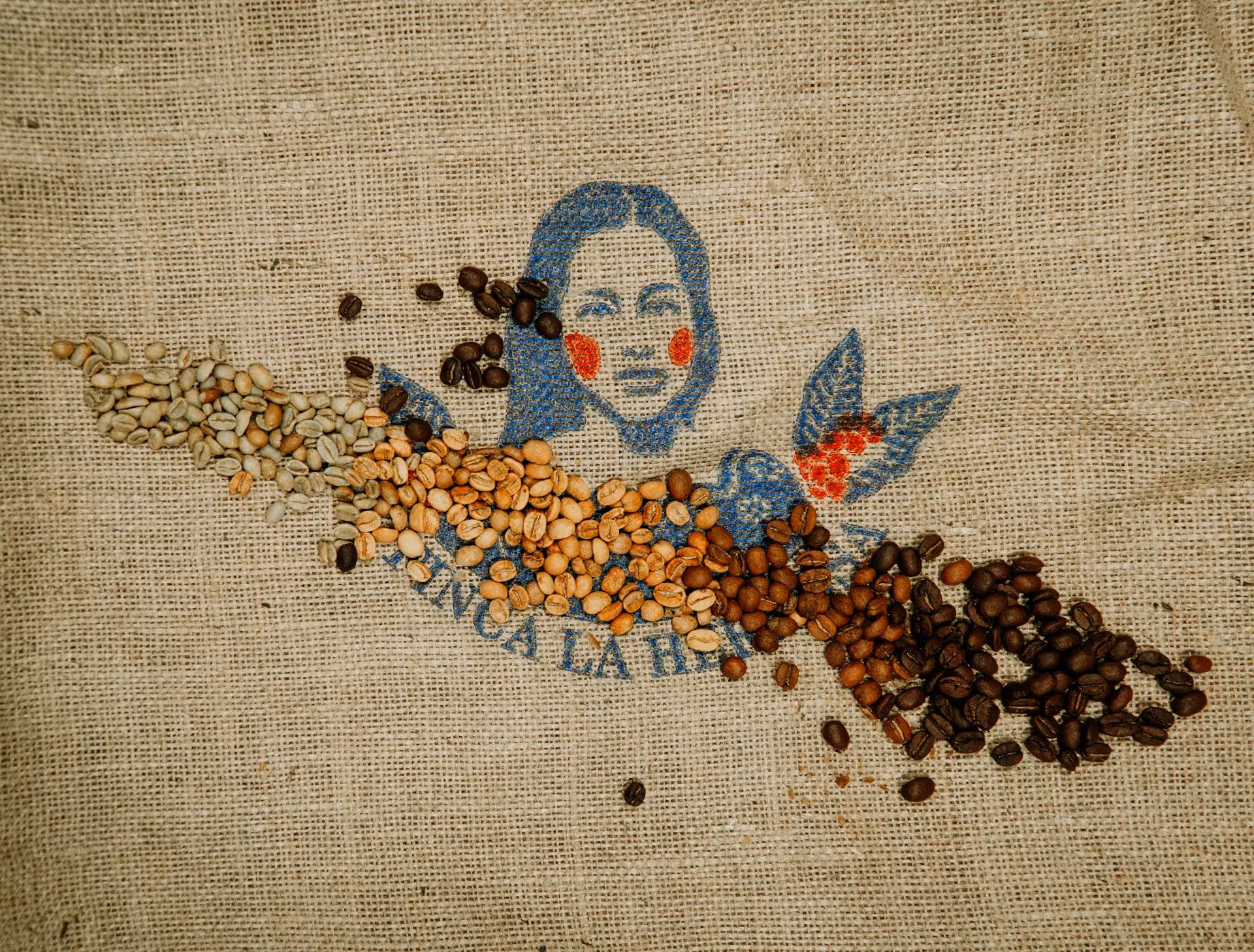 roasting stages, powered by advanced roaster technology and deep coffee knowledge